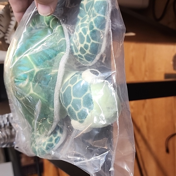 Mini sea turtle - Picture 2 of 4